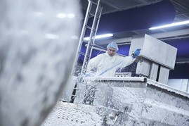 Fødevarerengøring TekniClean 54