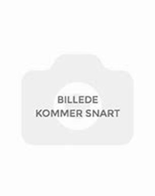 Kim Thomsen / Arbejdsmiljøkoordinator i TekniClean